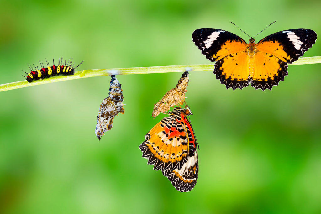 notícia PALAVRA DE HOJE - CICLOS DA VIDA