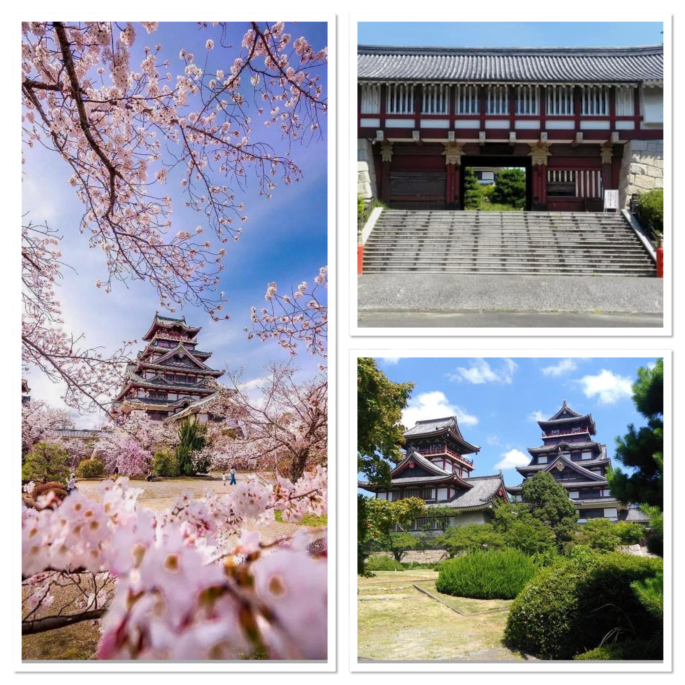 notícia Castelo Fushimi Momoyama