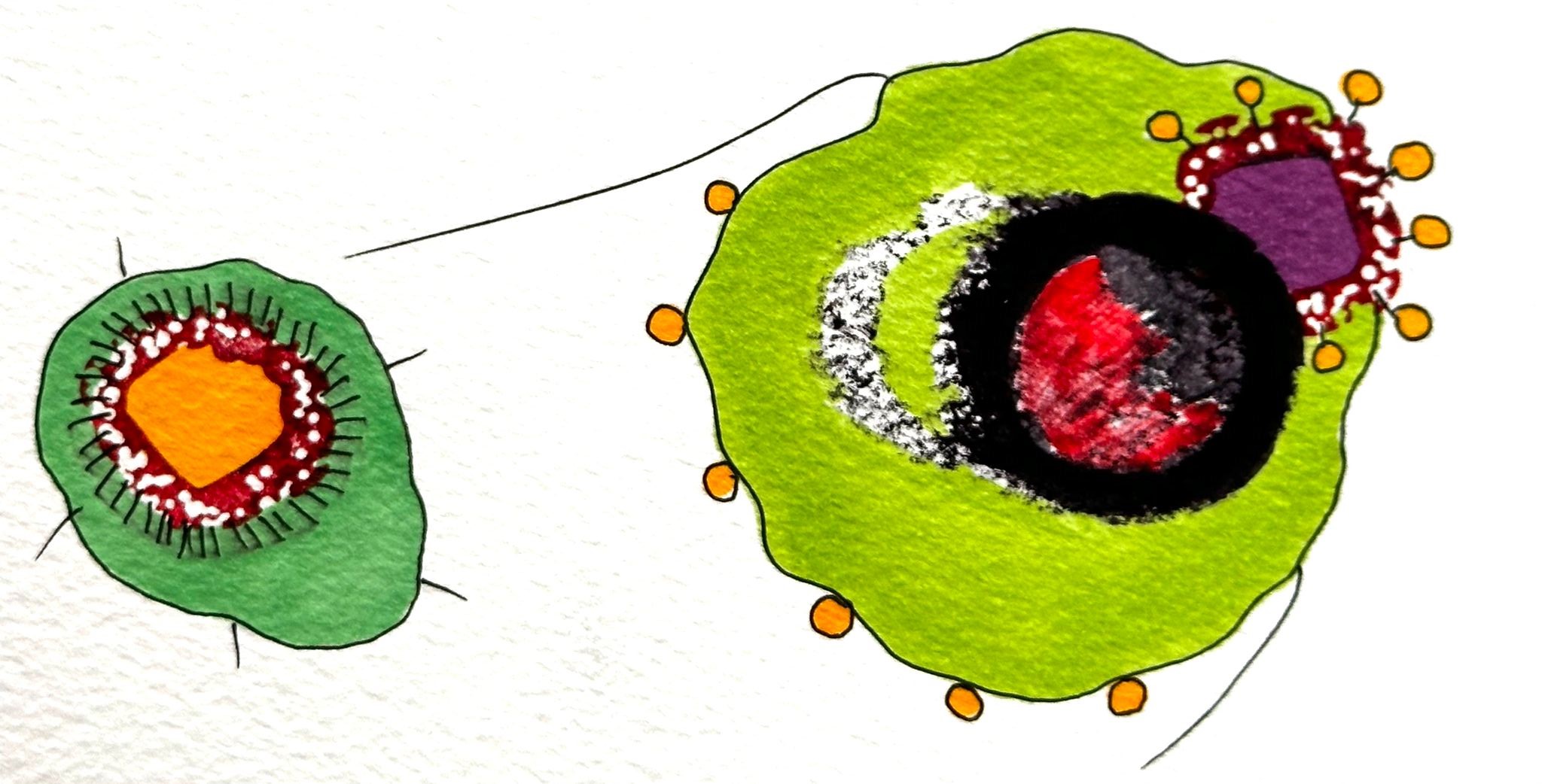 notícia Exposição Individual de Zag Guimarães inaugura galeria Casarão Brasil 