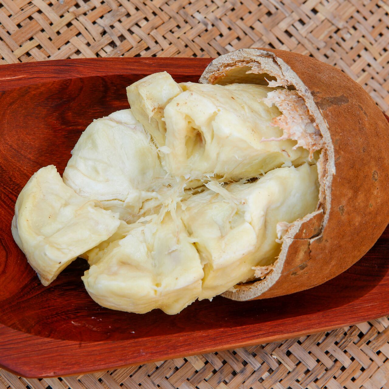 notícia Descoberta Revela Origem Milenar do Cupuaçu e sua Riqueza na Gastronomia Brasileira 