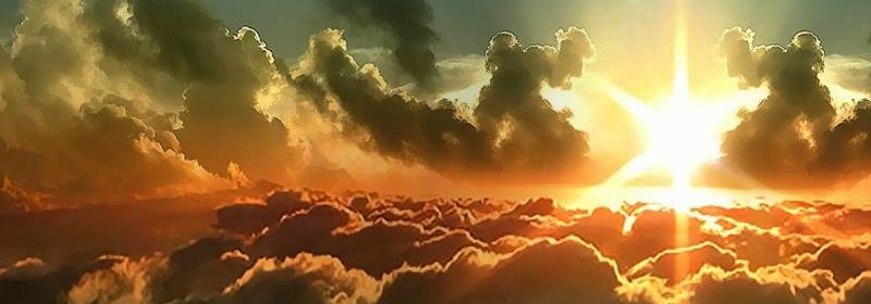 notícia Palavra de hoje por Ricardo Terada