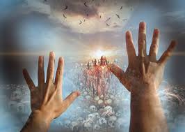 notícia Palavra de hoje por Ricardo Terada