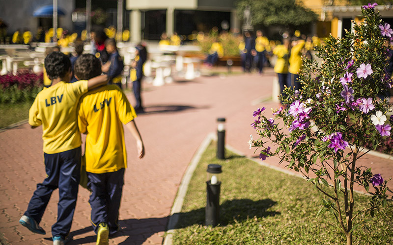 notícia Nesse Dia do Amigo, seja a mão que ajuda!