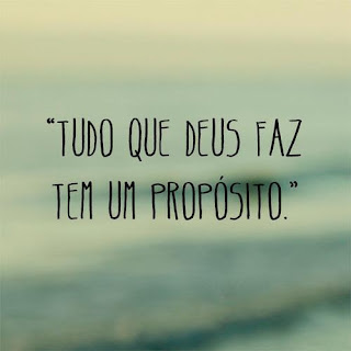 notícia PALAVRA DE HOJE - PROPÓSITO DE DEUS
