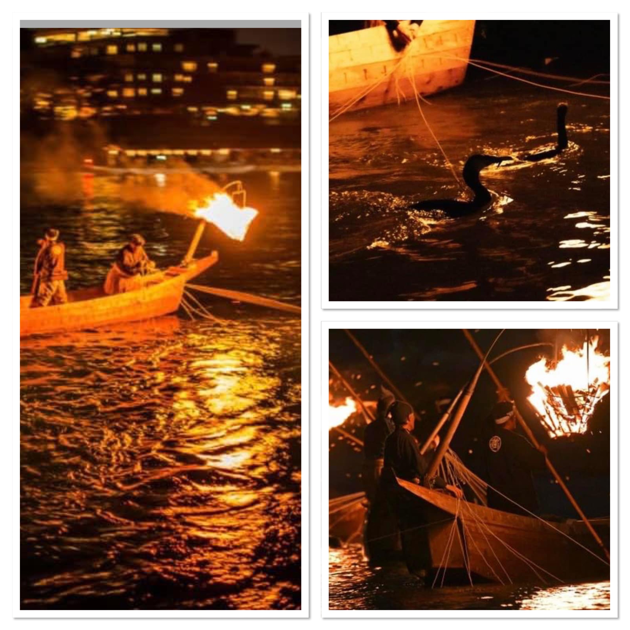 notícia Ukai, a milenar técnica japonesa de pesca com pássaros