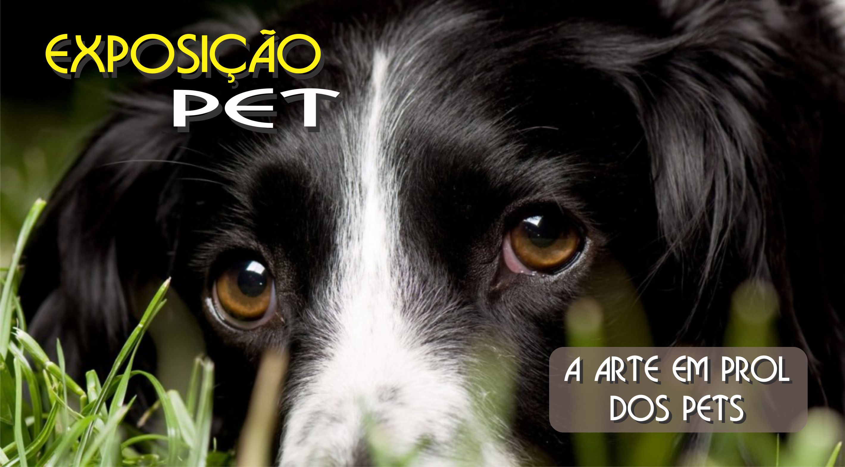 notícia EXPOSIÇÃO PET - A ARTE EM PROL DOS PETS
