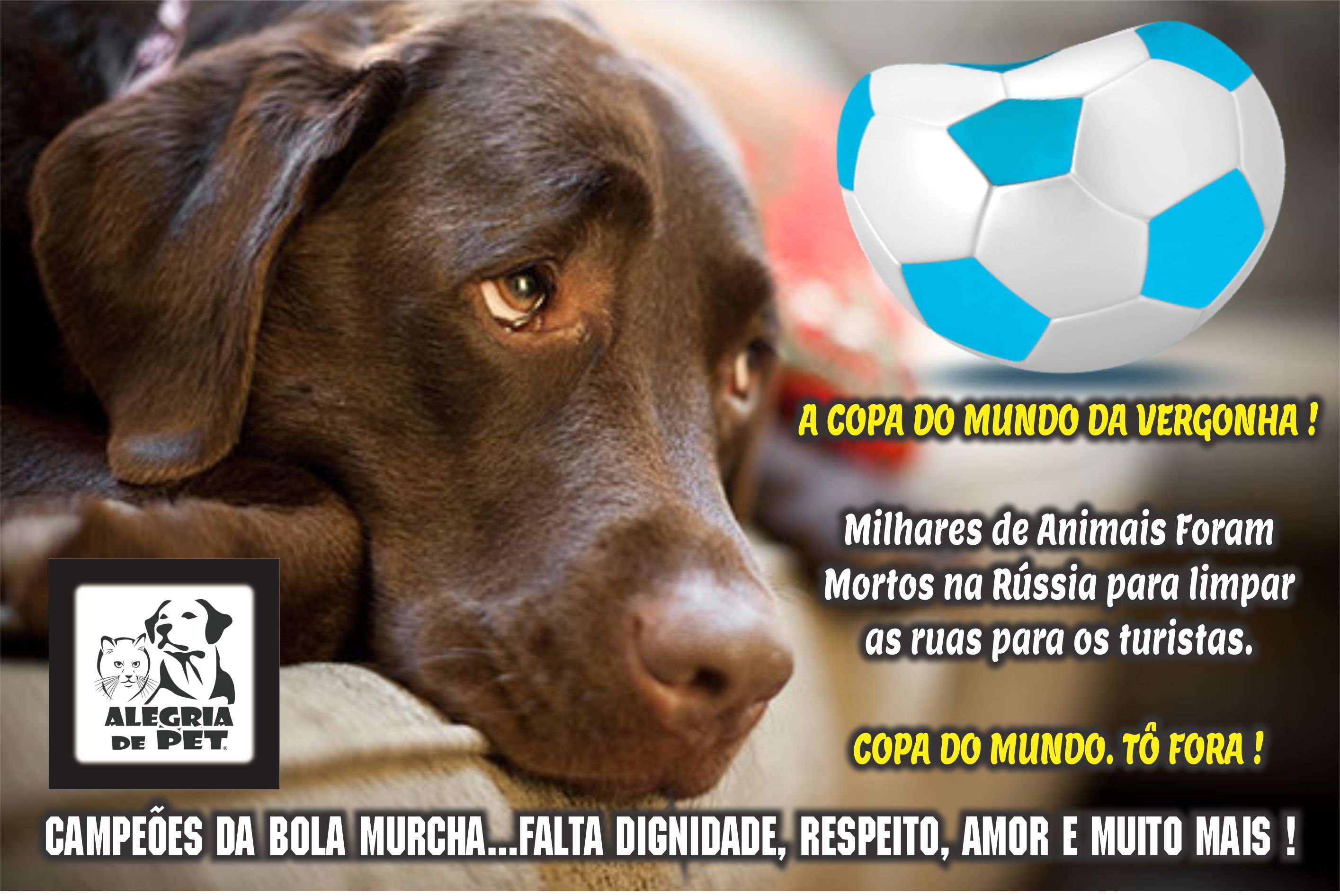 notícia A COPA DO MUNDO DA VERGONHA