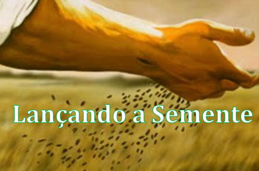 notícia Palavra de hoje por Ricardo Terada