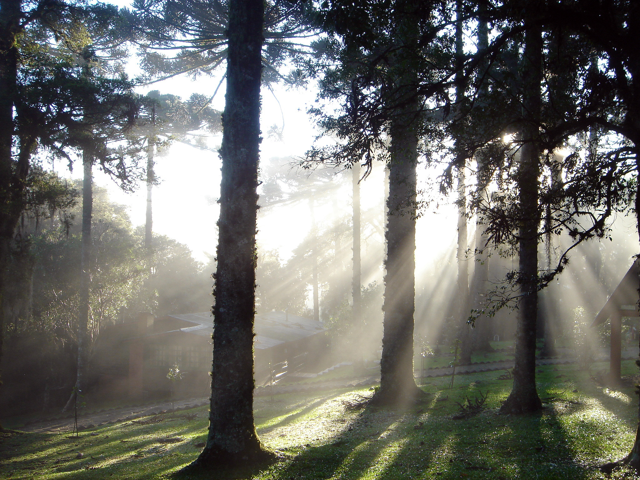 notícia PRÓXIMA ESTAÇÃO 