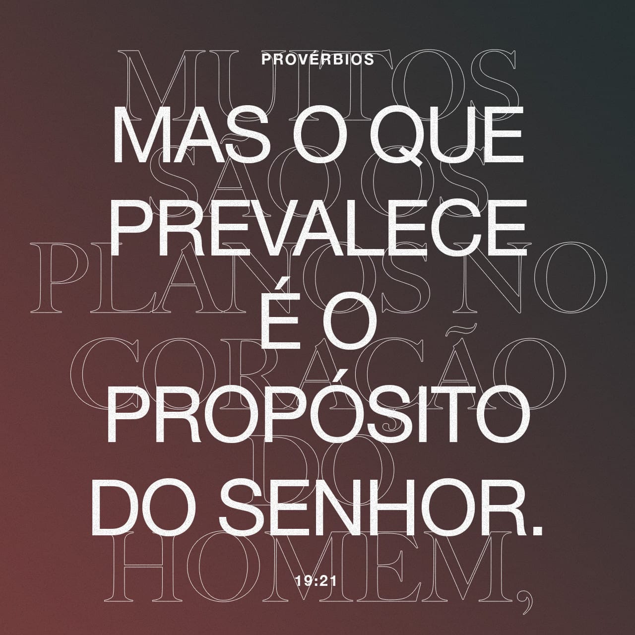 notícia PALAVRA DE HOJE - REALIZAÇÃO DE PLANOS