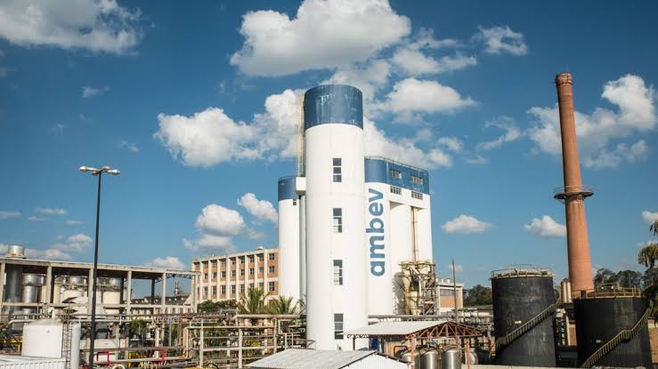 notícia Ambev vai direcionar R$ 40 milhões para brasileiros que possuem projetos que valorizam a cultura brasileira