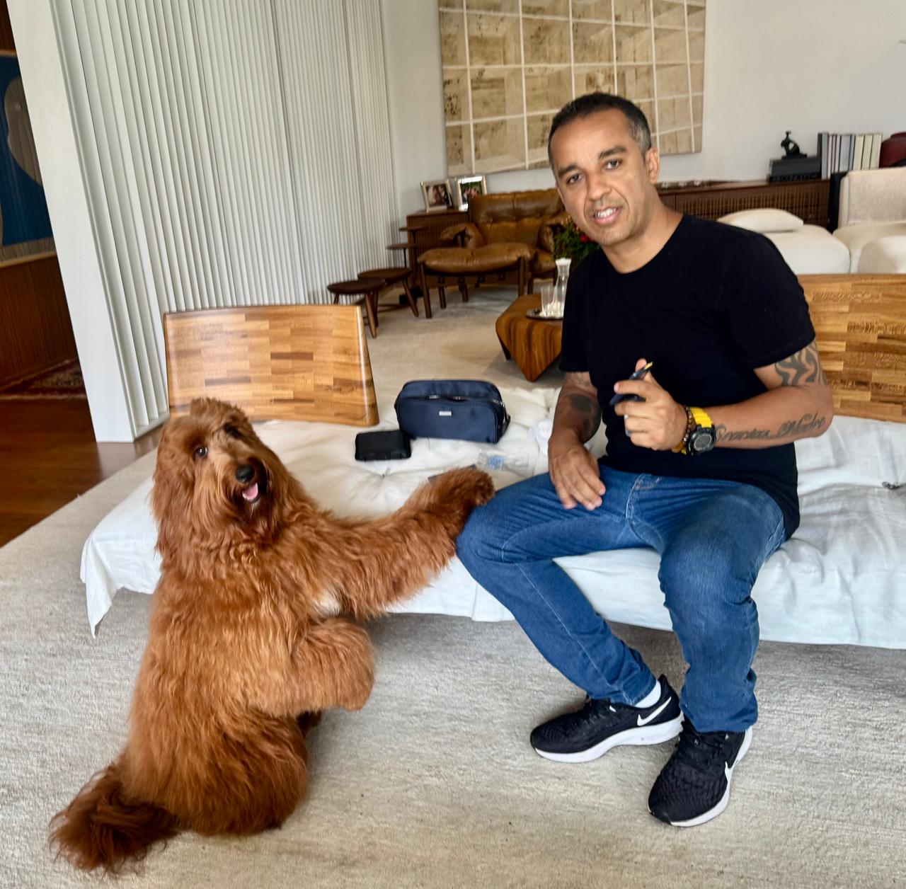 notícia Cães de alerta médico para diabetes contribuem com salvamento de vidas ao alertar mudança no nível de glicose de pacientes com diabetes 