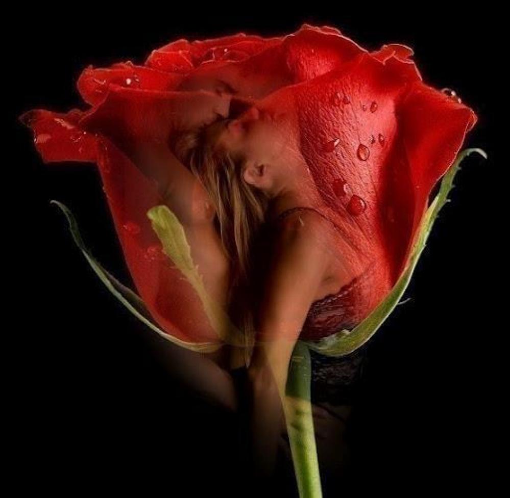 notícia CARTA PARA O REI