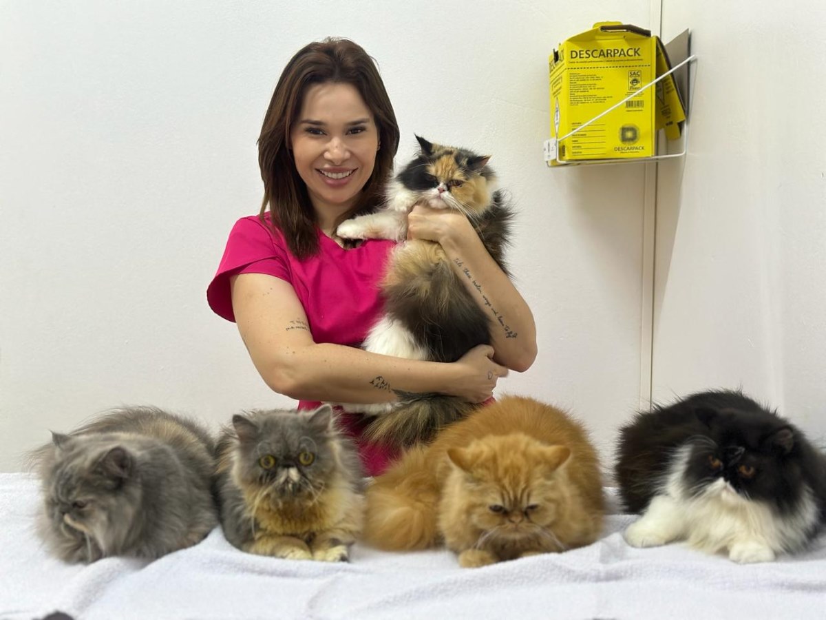 notícia Letícia Alves exalta sua paixão e dedicação ao mundo pet  com atendimento às reaças dos felinos