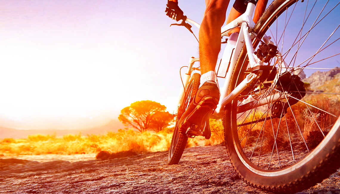 notícia PALAVRA DE HOJE - MOVIMENTO