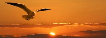 notícia Palavra de hoje por Ricardo Terada