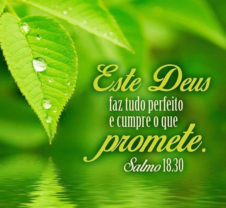 notícia PALAVRA DE HOJE - EXCELÊNCIA DE DEUS