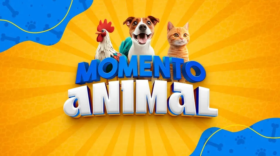 notícia Momento Animal estreia neste sábado (10), na TV Cidade
