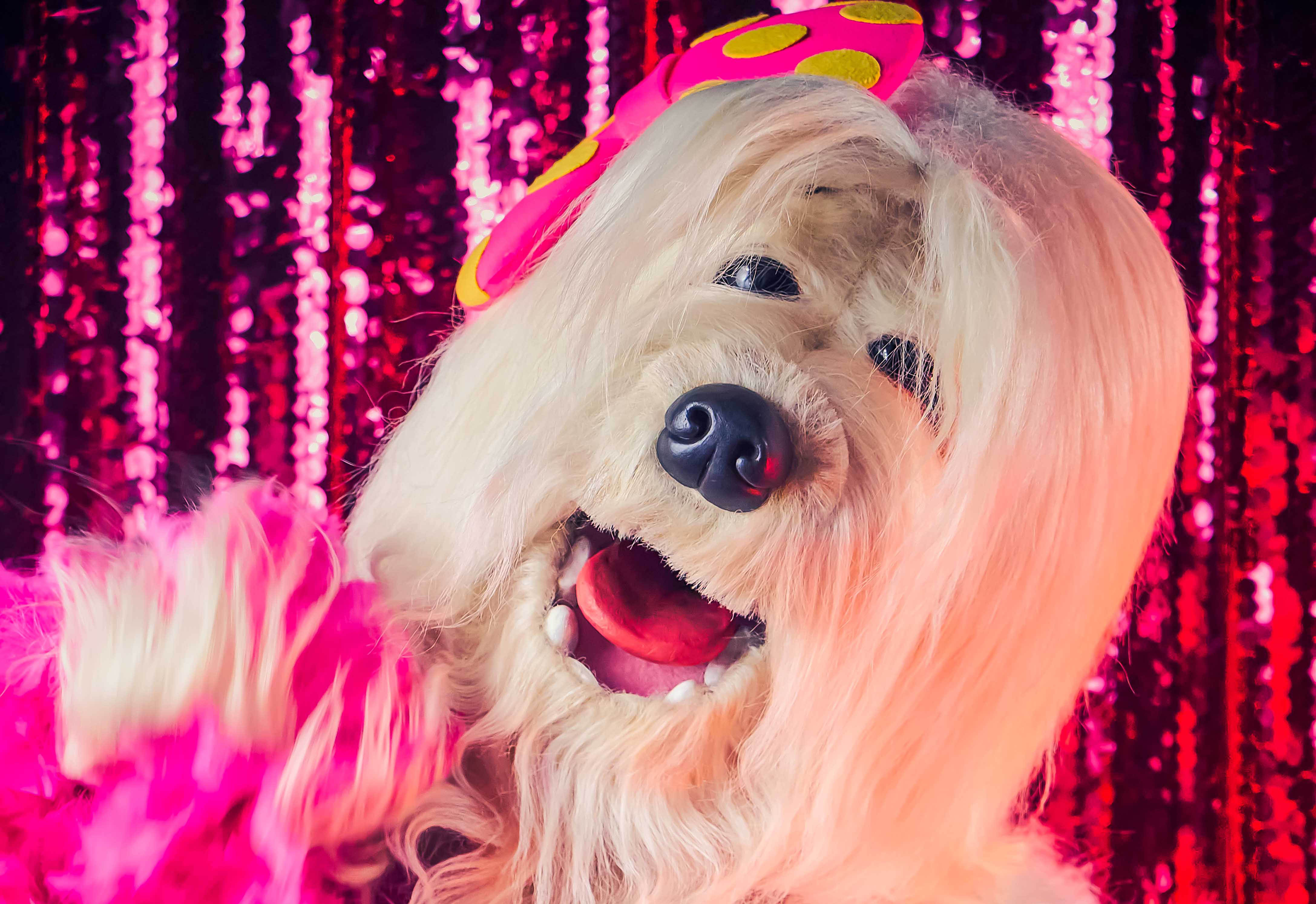 notícia  Turnê nacional do fenômeno “TV COLOSSO, O MUSICAL” chega a Goiânia, no Teatro Madre Esperança Garrido