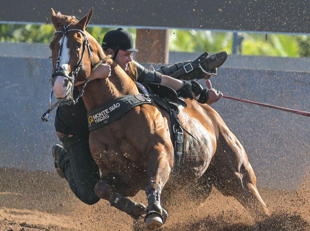 notícia Cavalo Inquestionável leva Monte Sião Haras à liderança no maior campeonato de vaquejada do Brasil