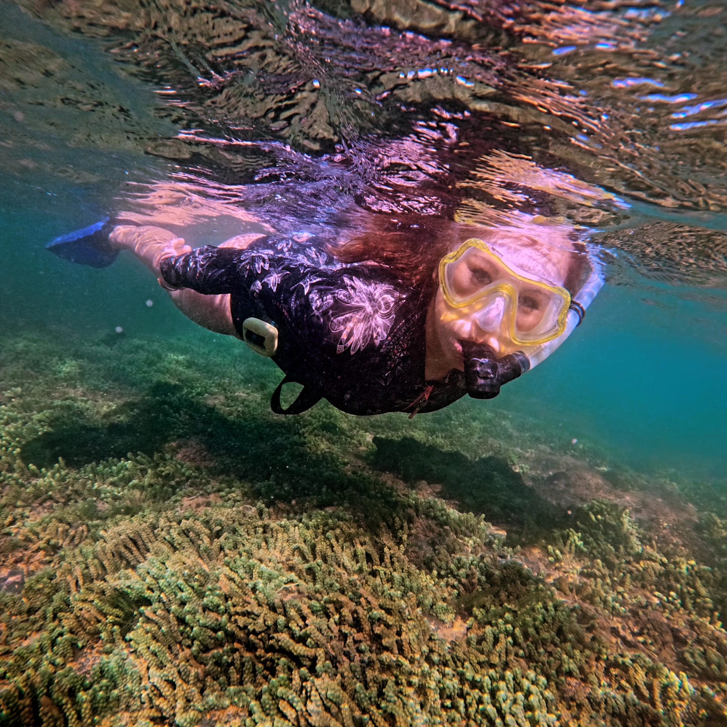 notícia Mergulho transforma a vida de designer autista e fortalece equilíbrio emocional