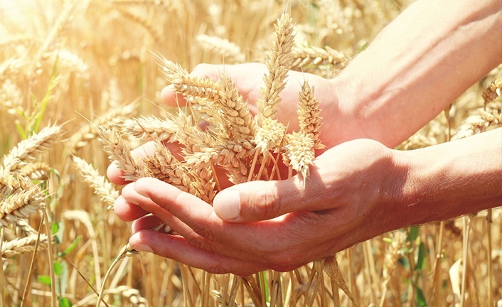 notícia PALAVRA DE HOJE - ABUNDÂNCIA DE DEUS