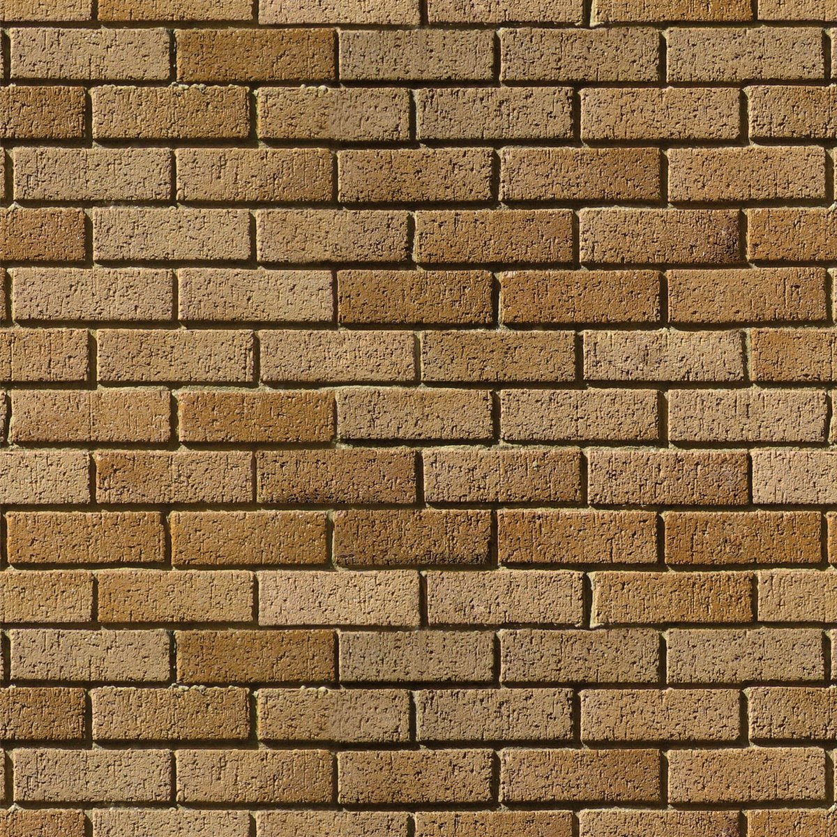 notícia PALAVRA DE HOJE - LEVANTANDO AS PAREDES