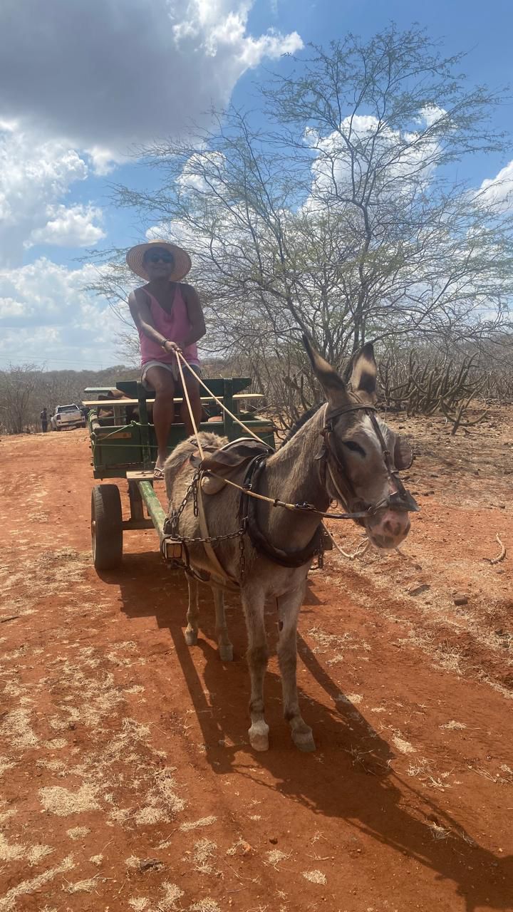 notícia Thiago Lisboa: do Sertão de Cabaceiras, cenário de O Auto da Compadecida, ao Carnaval do Galo da Madrugada e Olinda