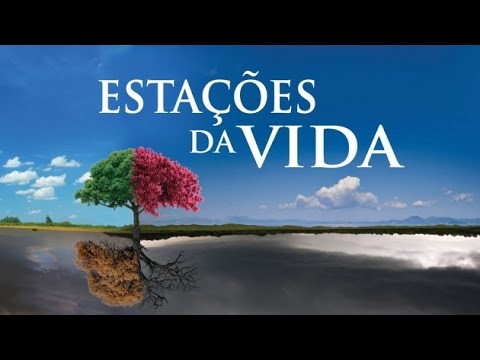 notícia PALAVRA DE HOJE - ENTENDENDO O PROCESSO
