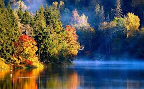 notícia Palavra de hoje por Ricardo Terada