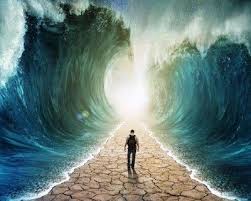 notícia Palavra de hoje por Ricardo Terada