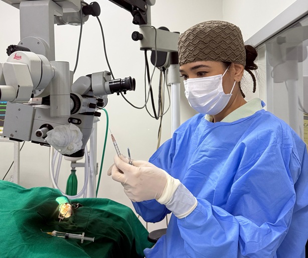 notícia Uberlândia tem cirurgia de catarata veterinária com tecnologia e especialista pioneira
