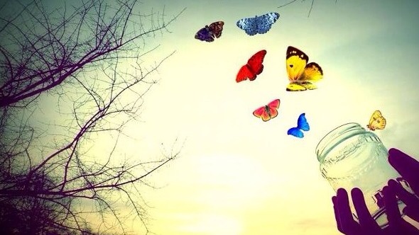 notícia Despertar à vida 