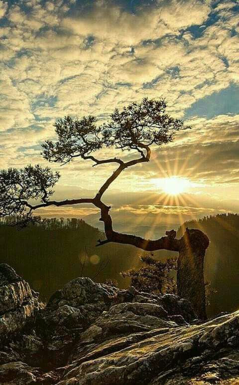 notícia Palavra de hoje por Ricardo Terada