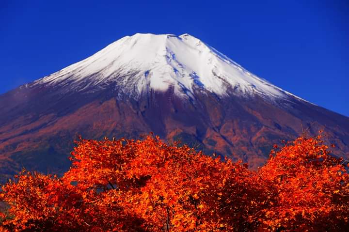 notícia Palavra de hoje por Ricardo Terada