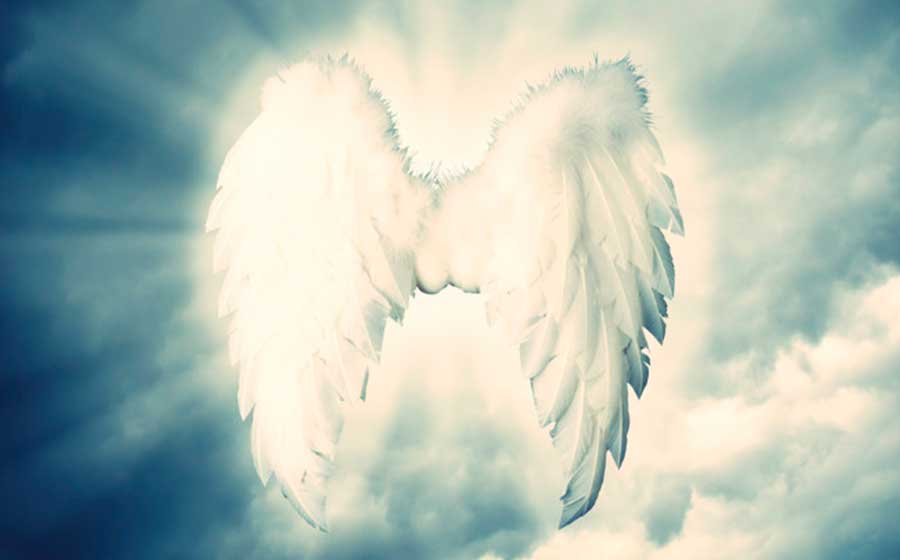 notícia Sou aquele que me guarda 