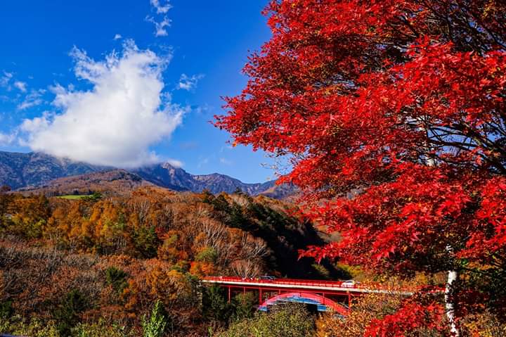 notícia Palavra de hoje por Ricardo Terada