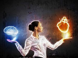 notícia Razão ou Emoção: a Reação Instintiva