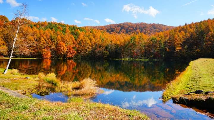 notícia Palavra de hoje por Ricardo Terada