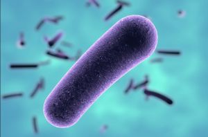 notícia Vivos e Fortes