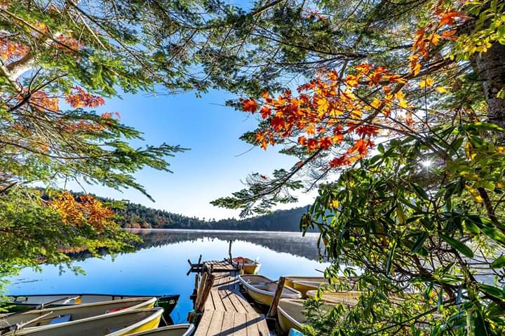 notícia Palavra de hoje por Ricardo Terada