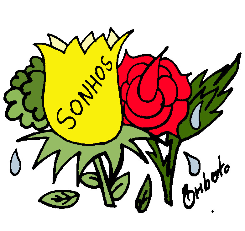 notícia NASCE AO AMANHECER 