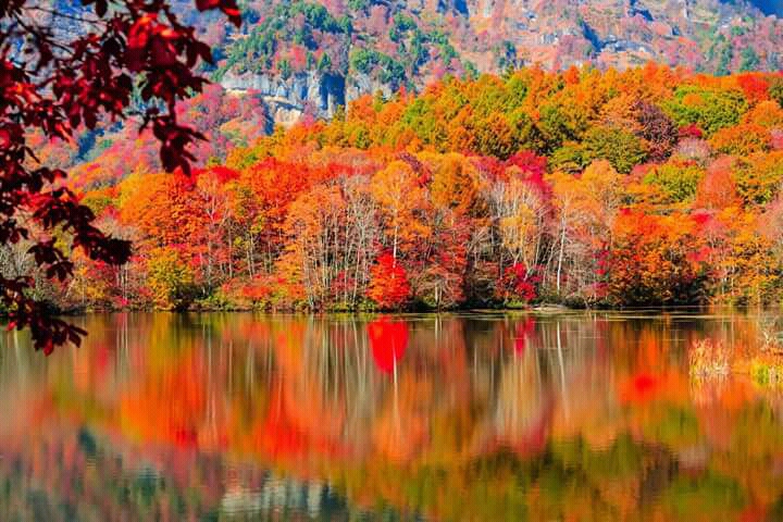 notícia Palavra de hoje por Ricardo Terada