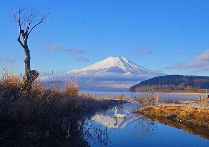 notícia Palavra de hoje por Ricardo Terada