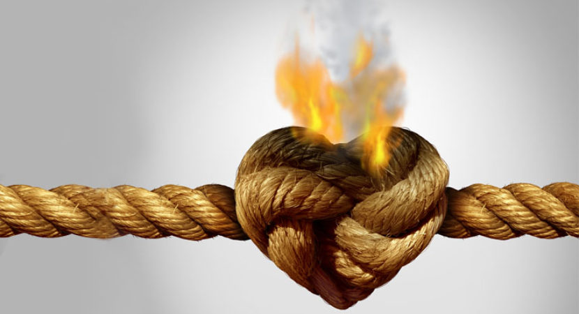 notícia Palavra de hoje por Ricardo Terada