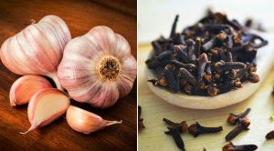 notícia Amigos da memória