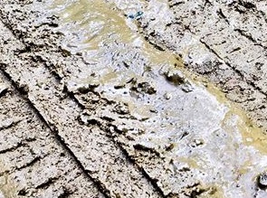 notícia Luca Moreira aborda falta de urbanismo em artigo sobre bairro do Rio de Janeiro