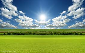 notícia Palavra de hoje por Ricardo Terada