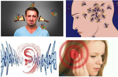 notícia União com ortodontia 