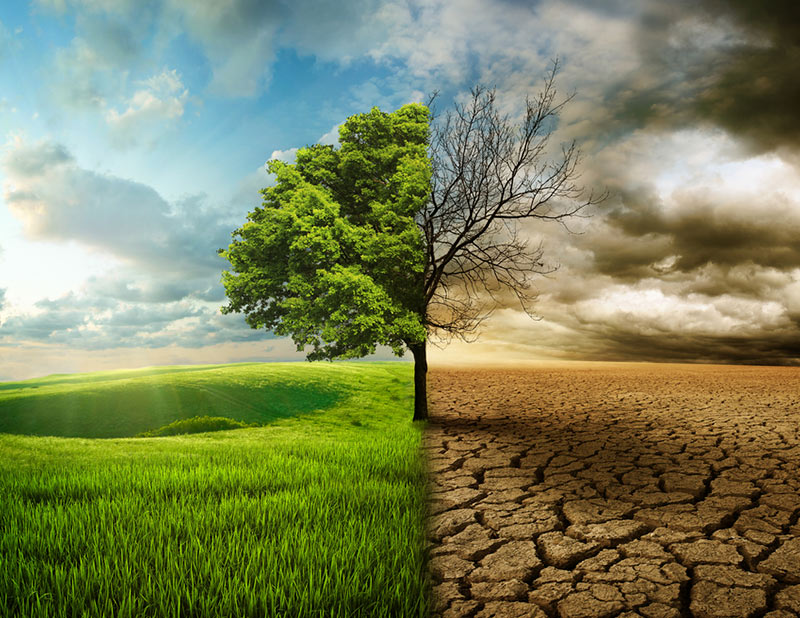 notícia Dia Mundial do Meio Ambiente